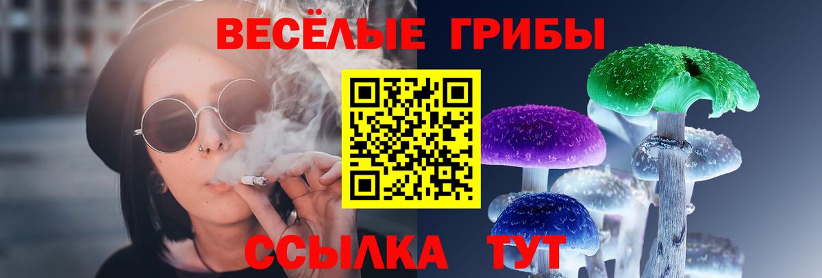Псилоцибиновые грибы Psilocybe  Вход с VPN  Псилоцибиновые грибы Cubensis  Реутов 